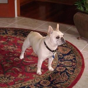 Meet your Posher, Jeanette